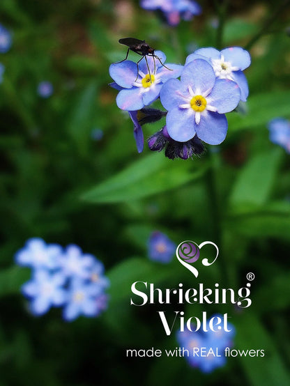 Collana in argento con chiave di violino e fiore Non Ti Scordar di Me | Viola stridente®